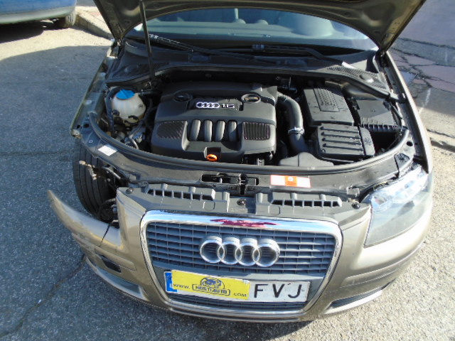 AUDI A3 1.6 I AUTOMATICO 102CV