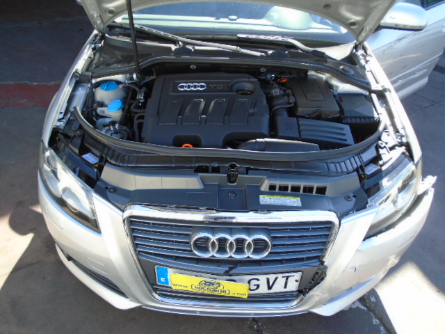 AUDI A-3 ATTRACCION 1.9 TDI 105CV