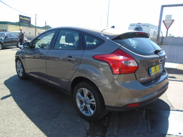 FORD FOCUS EDITION 1.6 TDCI 115CV