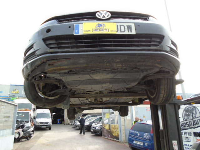 VW GOLF VII 1.6 TDI 105CV