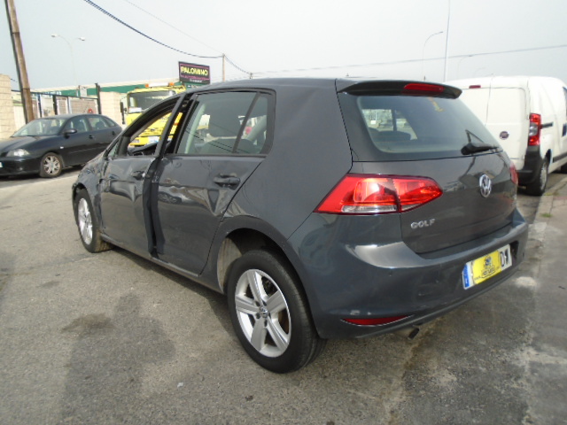 VW GOLF VII 1.6 TDI 105CV