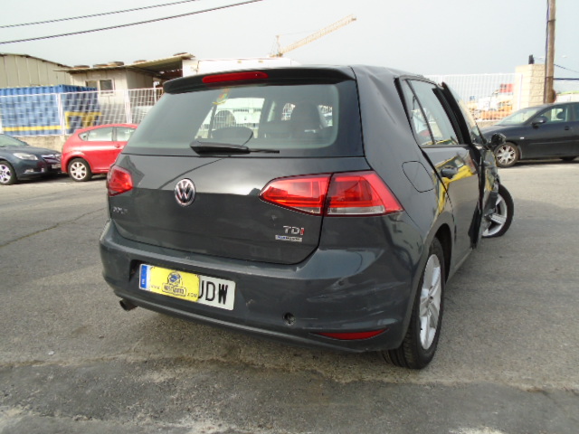 VW GOLF VII 1.6 TDI 105CV