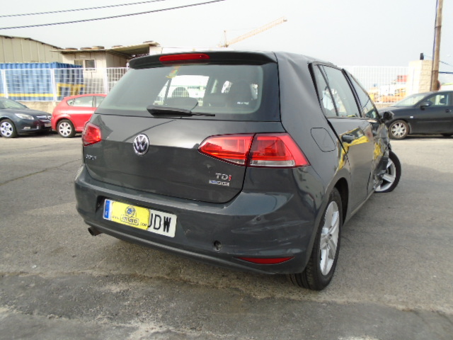 VW GOLF VII 1.6 TDI 105CV