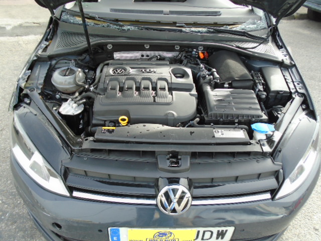 VW GOLF VII 1.6 TDI 105CV