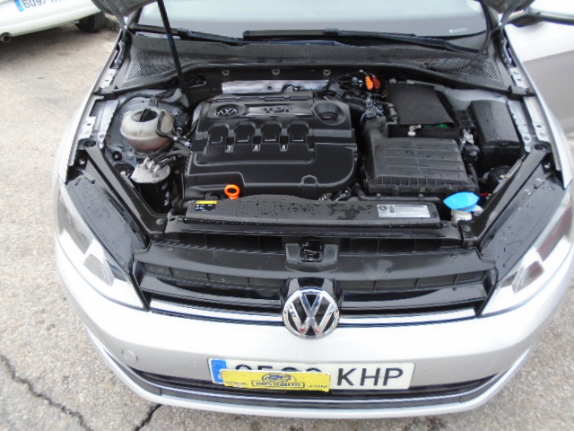 VOLKSWAGEN GOLF VII 1.6 TDI 105CV DSG