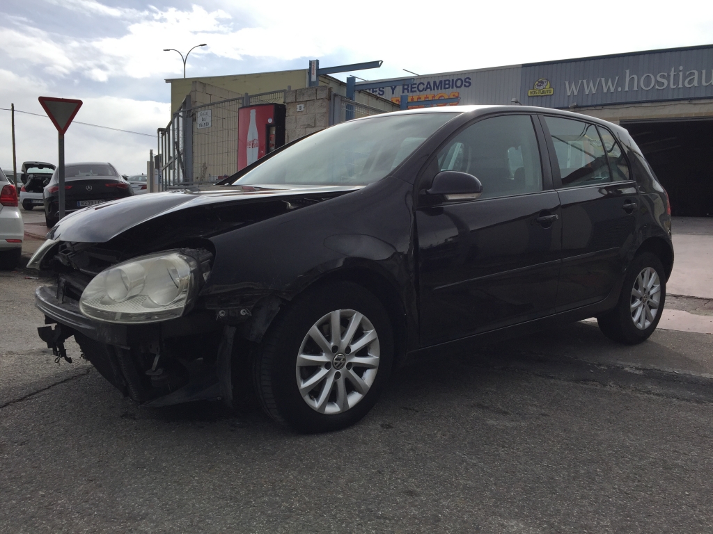 VOLKSWAGEN GOLF V 1.9 TDI 105CV