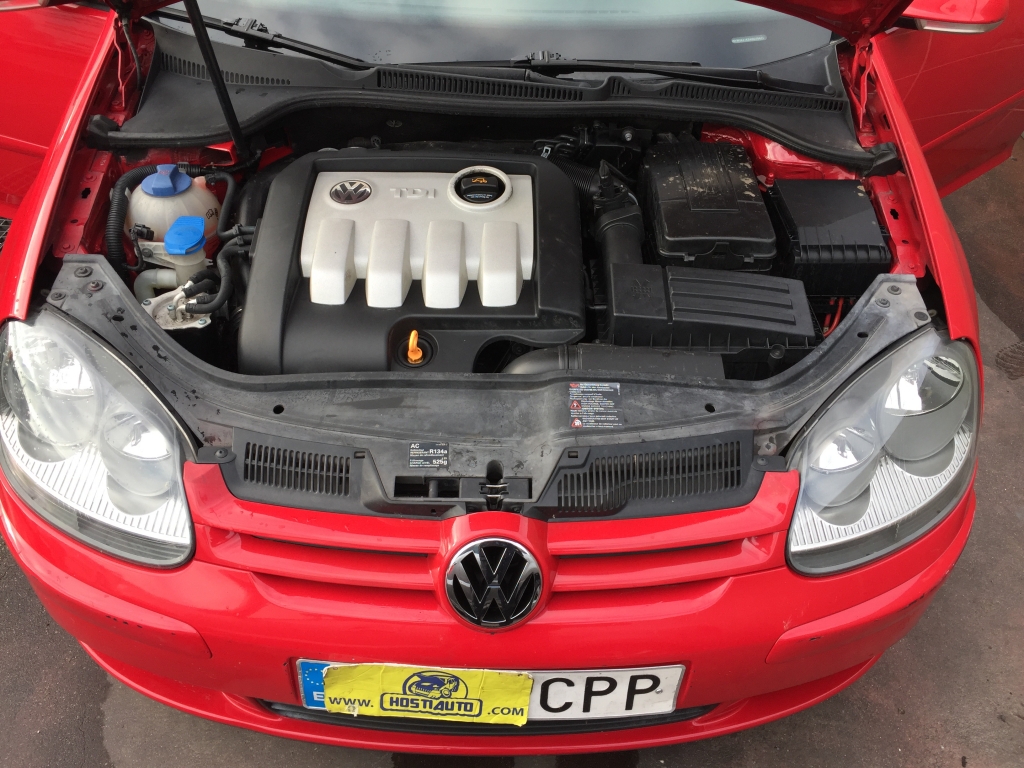 VOLKSWAGEN GOLF V 1.9 TDI 105CV