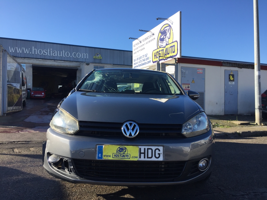 VOLKSWAGEN GOLF VI 1.6 TDI 105CV