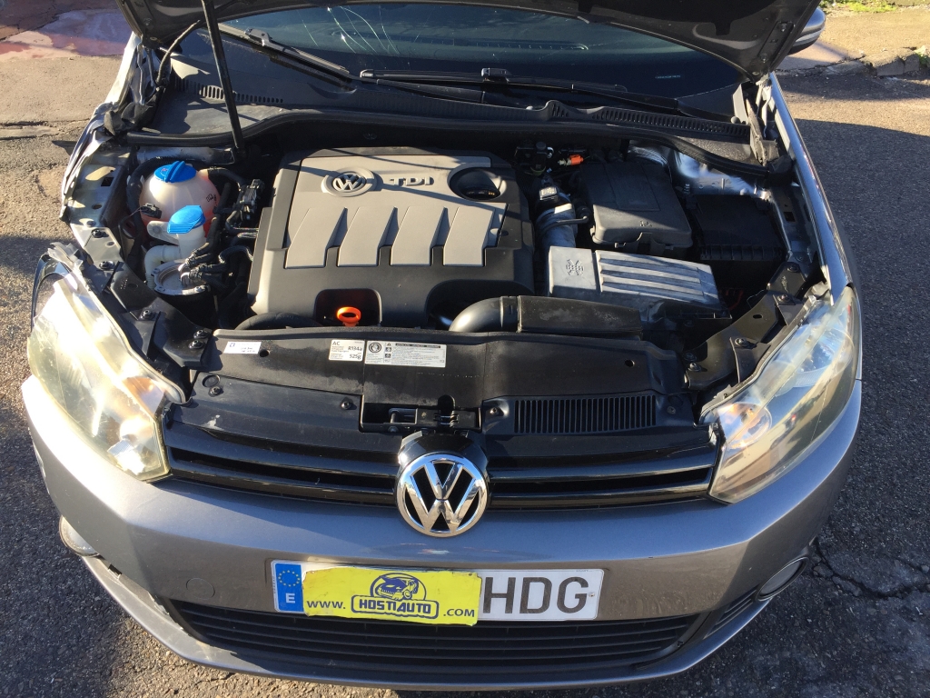 VOLKSWAGEN GOLF VI 1.6 TDI 105CV