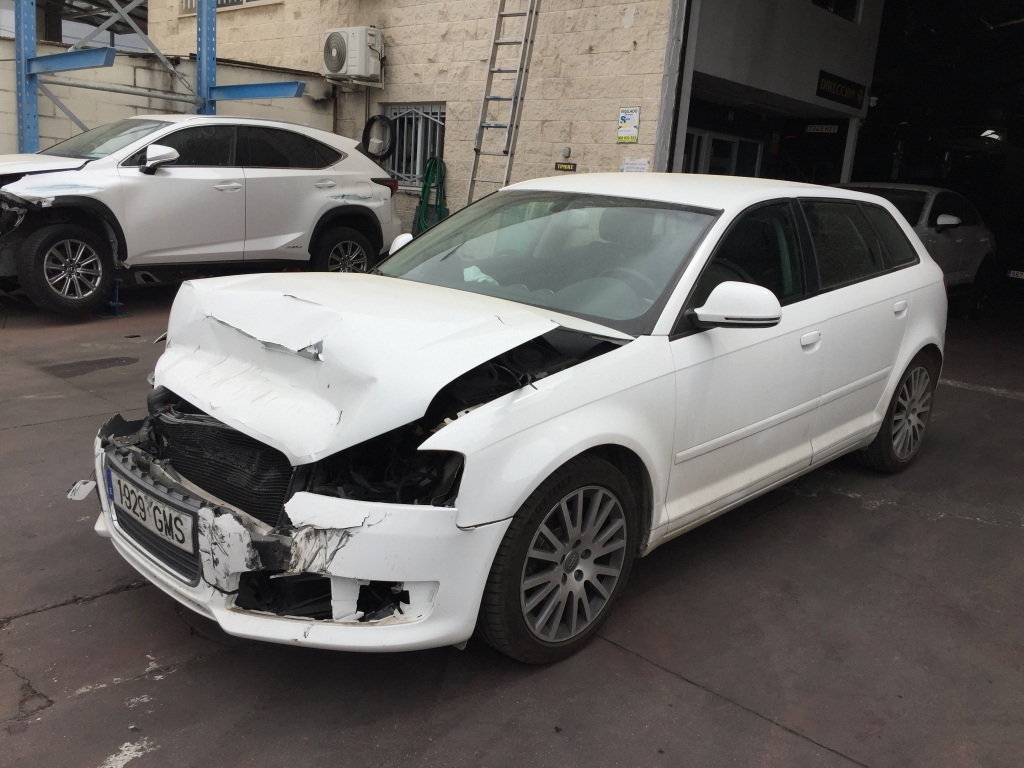 AUDI A3 1.9 TDI 105CV