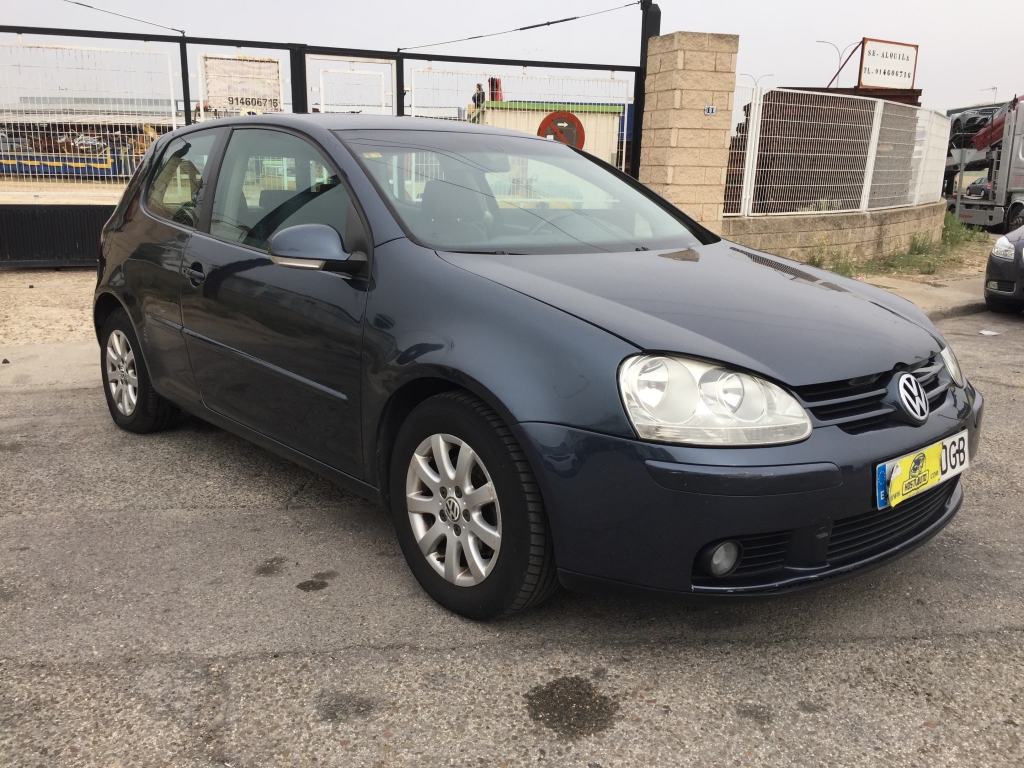 VOLKSWAGEN GOLF 1.9 TDI 105CV