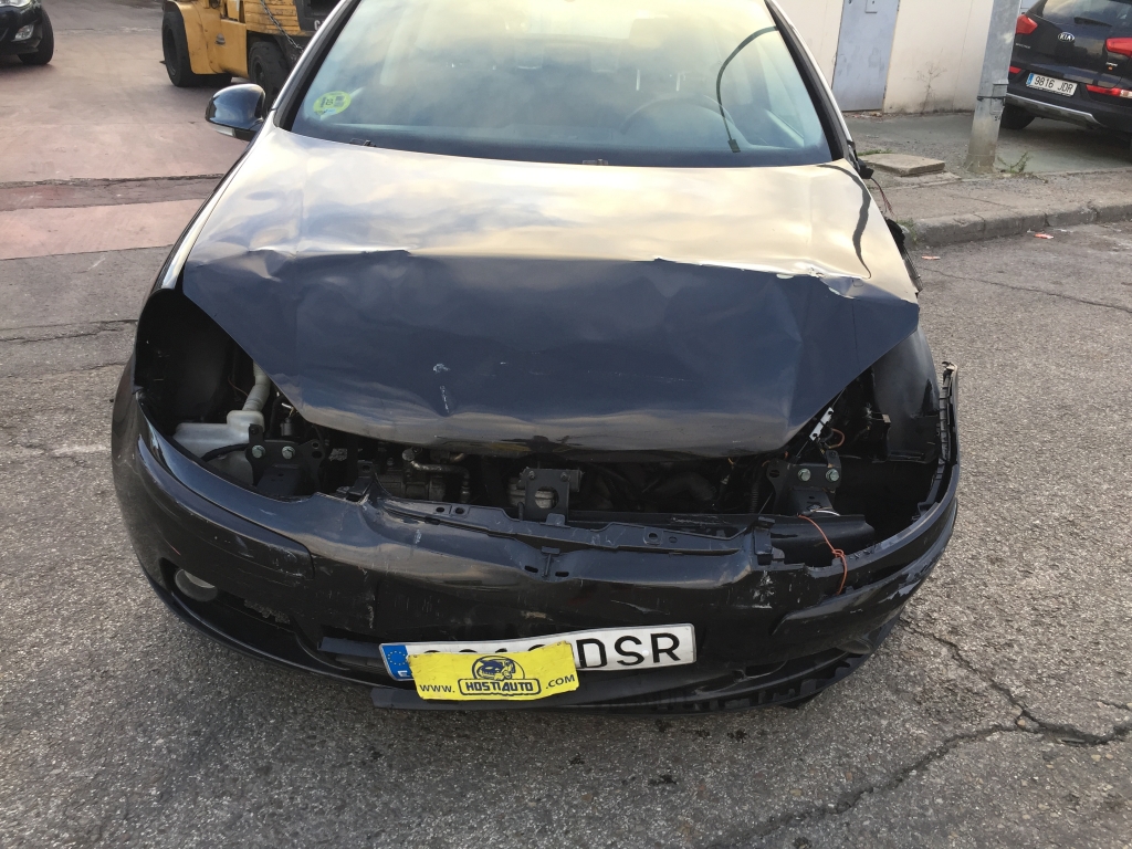 VOLKSWAGEN GOLF 1.9 TDI 105CV