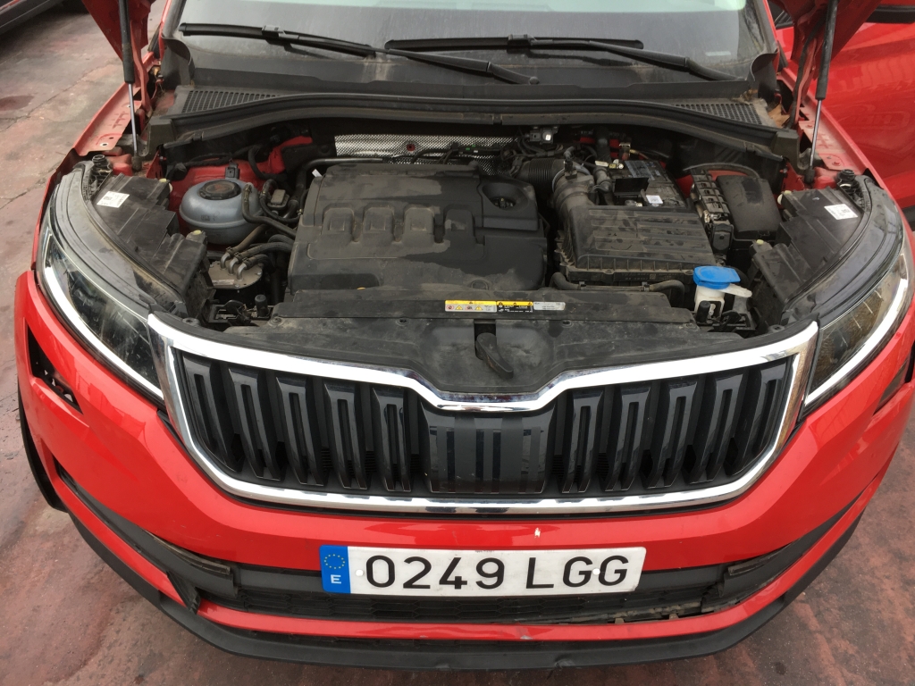 SKODA KODIAQ 2.0 TDI 150CV DSG