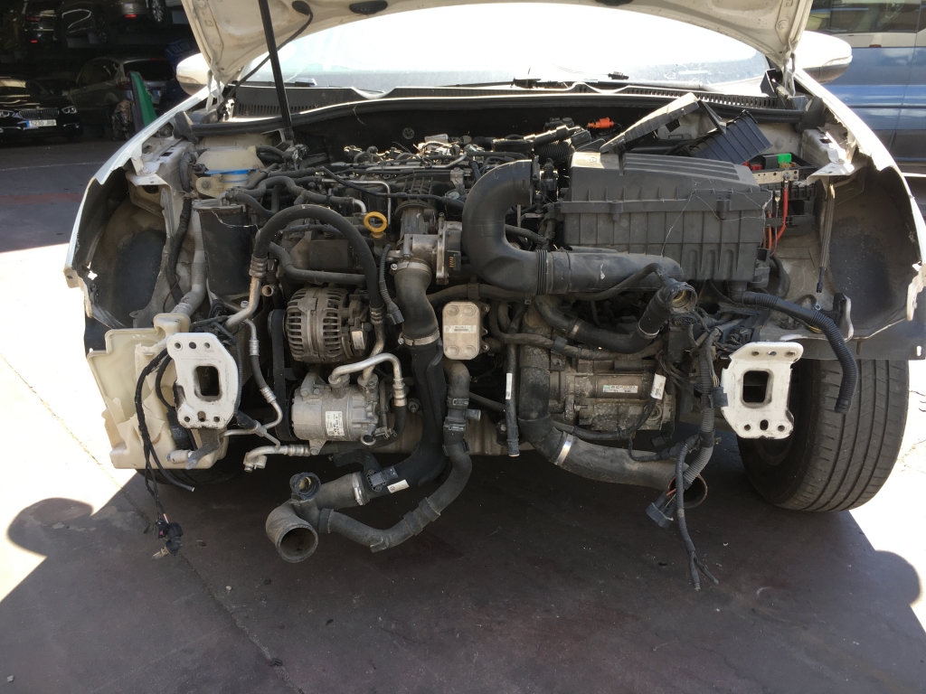 VOLKSWAGEN GOLF 1.6 TDI 105CV