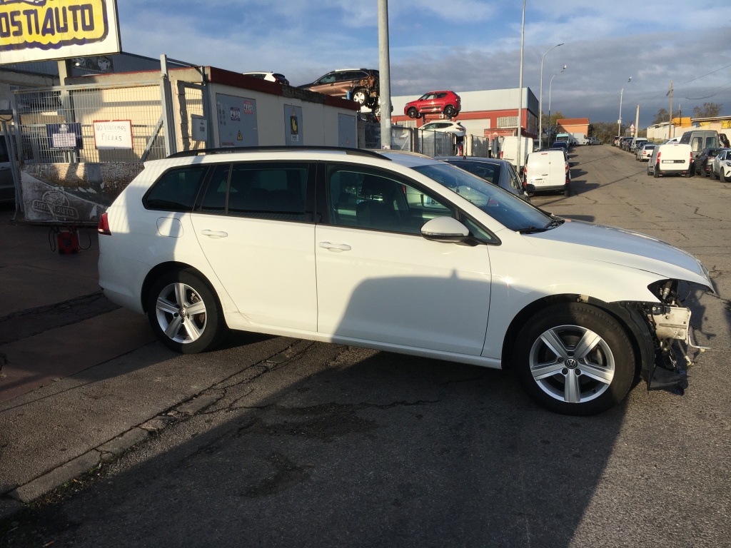 VOLKSWAGEN GOLF VII ADVANCE 1.6 TDI 105CV
