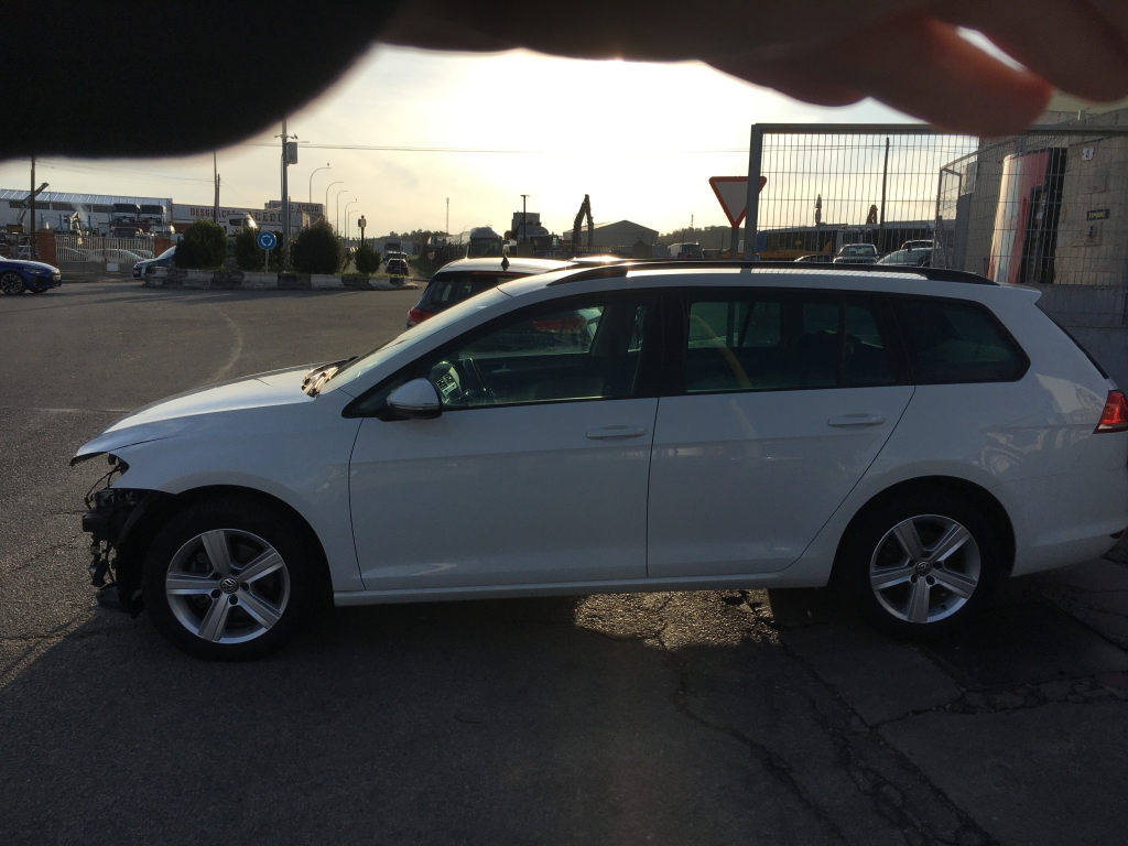 VOLKSWAGEN GOLF VII ADVANCE 1.6 TDI 105CV