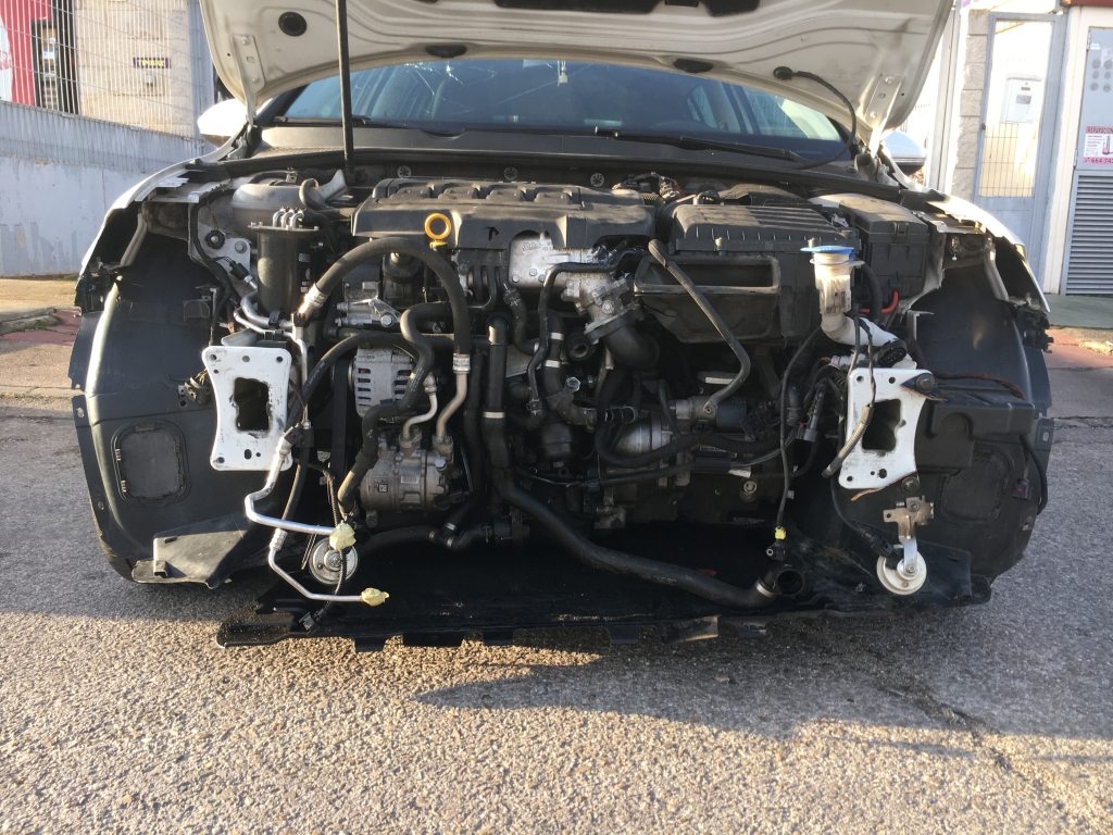 VOLKSWAGEN GOLF VII ADVANCE 1.6 TDI 105CV