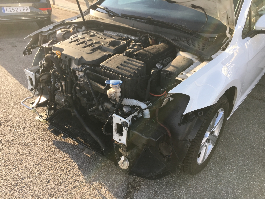 VOLKSWAGEN GOLF VII ADVANCE 1.6 TDI 105CV