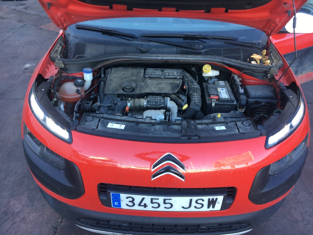 CITROEN CACTUS 1.6 HDI 100CV RIP CURL