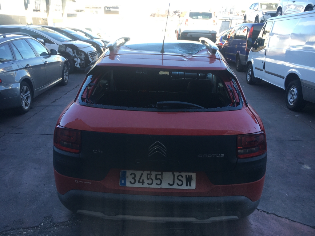CITROEN CACTUS 1.6 HDI 100CV RIP CURL