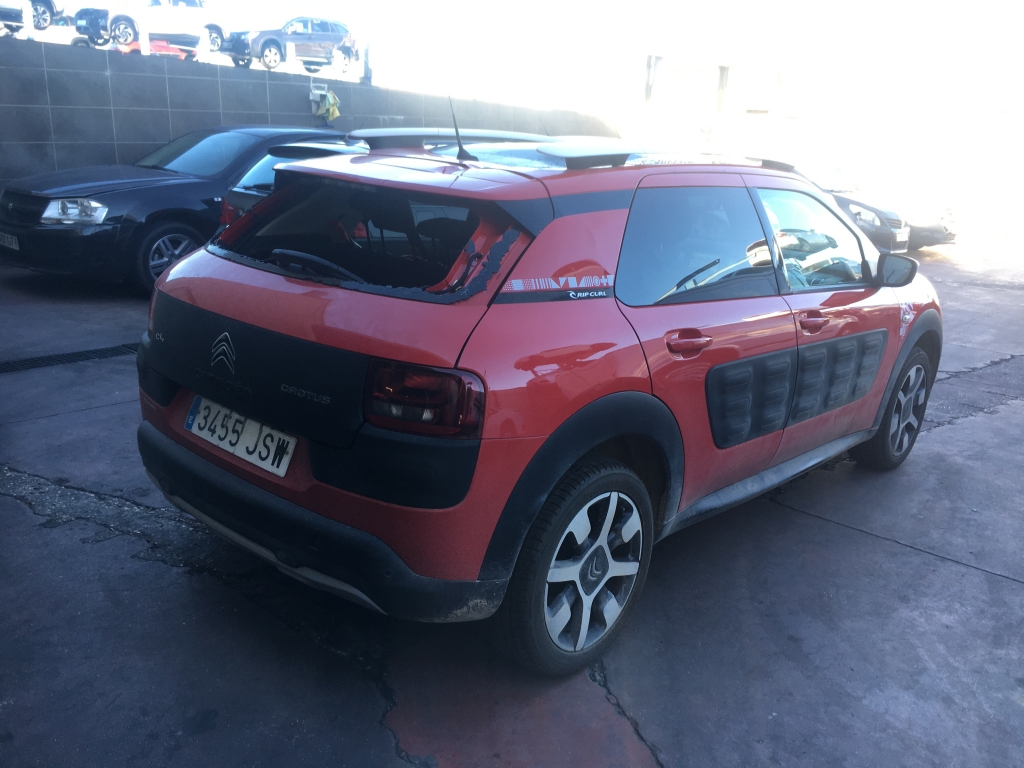 CITROEN CACTUS 1.6 HDI 100CV RIP CURL