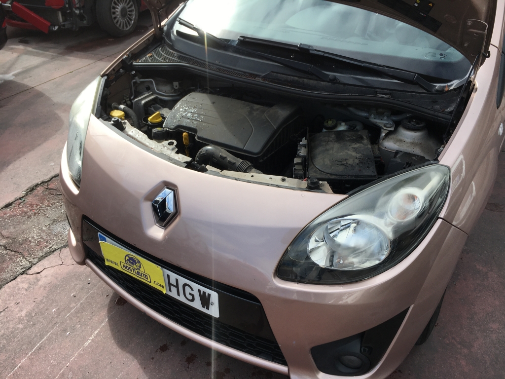 RENAULT TWINGO 1.2 INY 75CV
