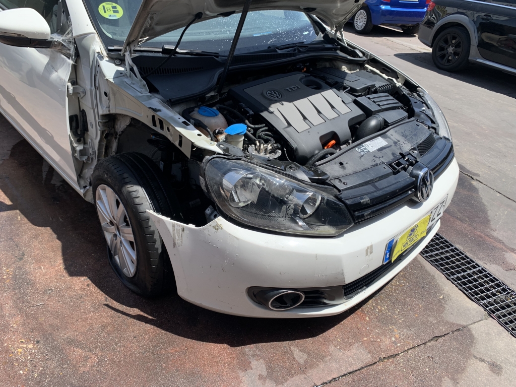 VOLKSWAGEN GOLF VI 1.6 TDI 105CV