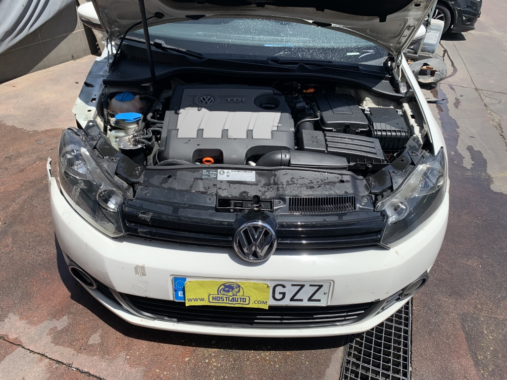 VOLKSWAGEN GOLF VI 1.6 TDI 105CV
