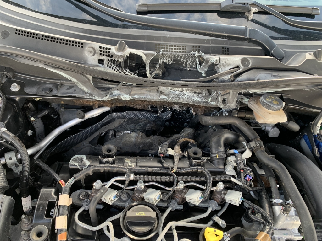 MAZDA CX-3 1.5 D 105CV MAZDA CX-3 1.5 D 105CV