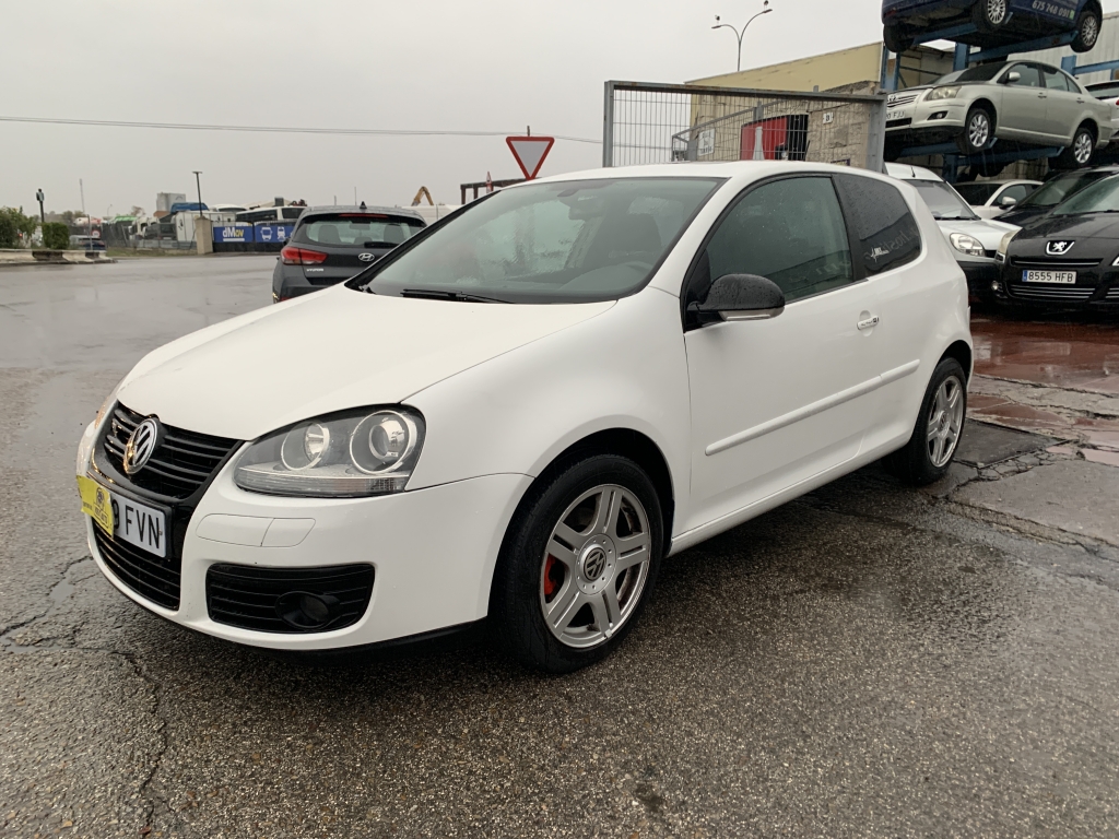 VOLKSWAGEN GOLF 1.9 TDI 105CV
