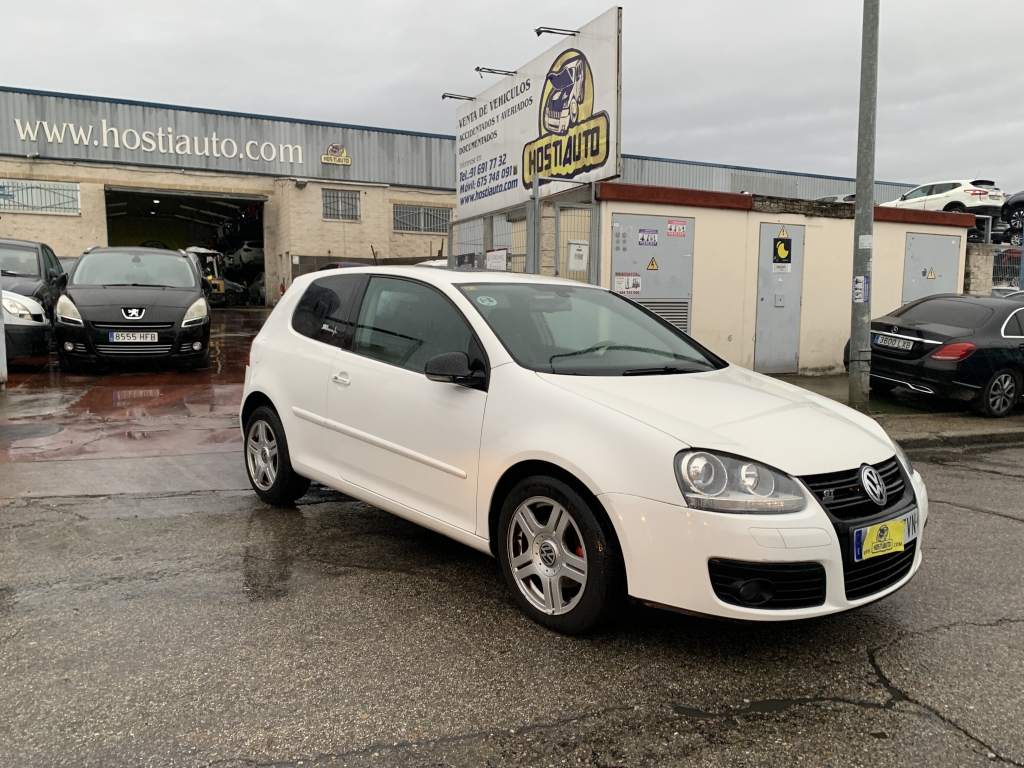 VOLKSWAGEN GOLF 1.9 TDI 105CV