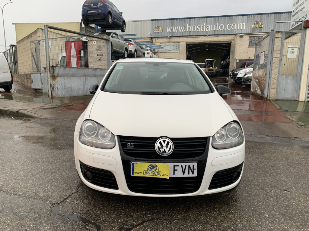 VOLKSWAGEN GOLF 1.9 TDI 105CV