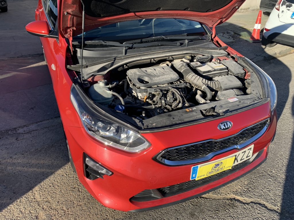 KIA CEED 1.0 INY 120CV