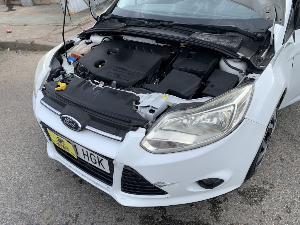 FORD FOCUS 1.6 TDCI 115CV