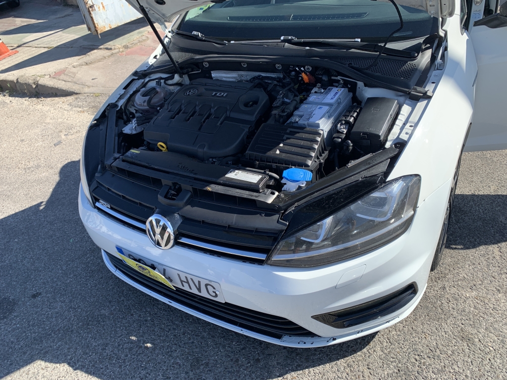 VOLKSWAGEN GOLF VII 1.6 TDI 105CV
