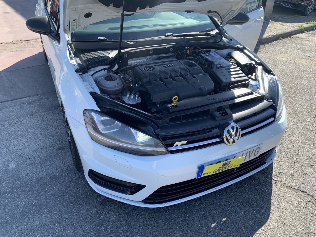 VOLKSWAGEN GOLF VII 1.6 TDI 105CV
