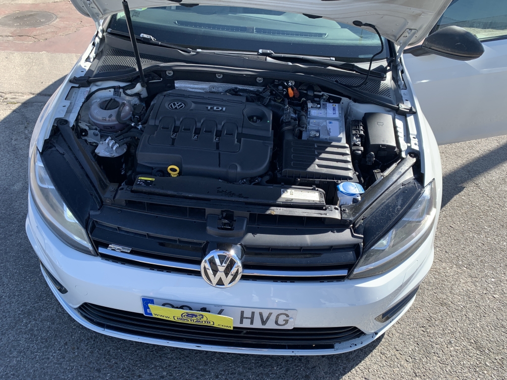 VOLKSWAGEN GOLF VII 1.6 TDI 105CV