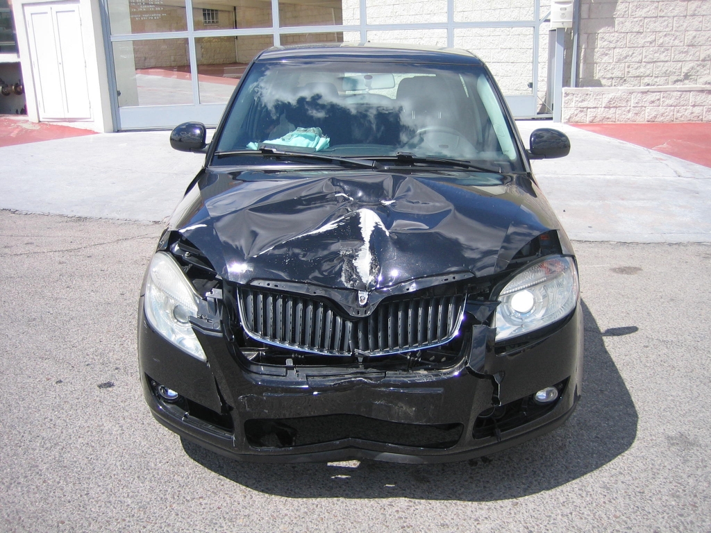 SKODA FABIA 1.9 TDI 105CV