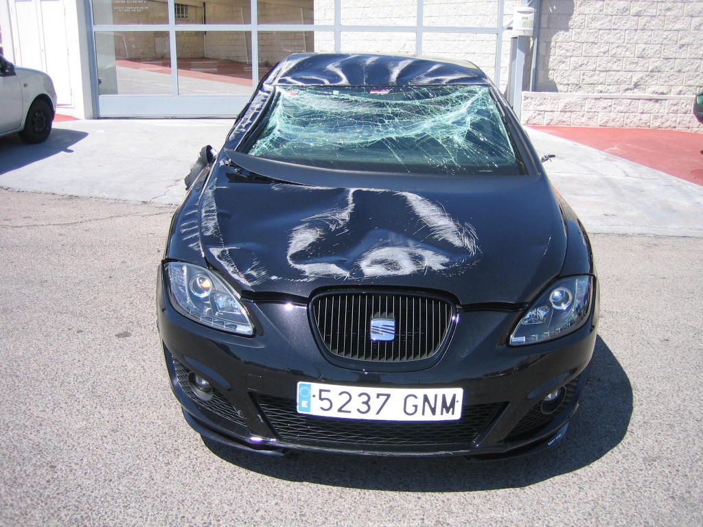 VISTA DELANTERA SEAT LEON 1.9 TDI 90CV