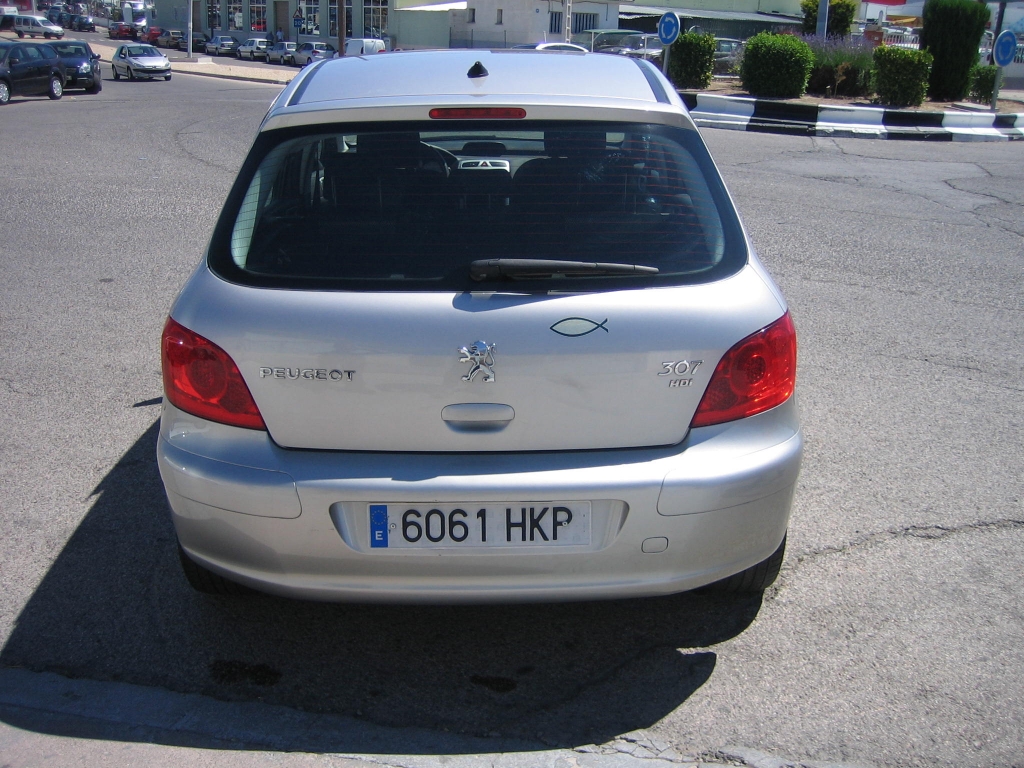 VISTA TRASERA PEUGEOT 307 1.6 HDI 110CV